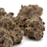 Raspberry Runtz Indoor THCa Flower Wholesale with purple hues and orange pistils