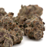 Black Frost’s indoor THCA flower featuring a dense purple and green cannabis bud with orange hairs and glistening trichomes
