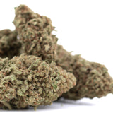 Blue Dream THCa Hemp Flower Greenhouse Wholesale