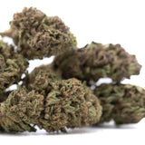 Blueberry Muffin THCa Flower Full-Term Wholesale