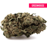 Canal Street Runtz THCa Hemp Flower Greenhouse