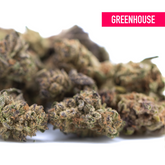 Canal Street Runtz THCa Hemp Flower Greenhouse Smalls