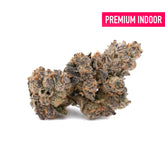 Caramel Candy Kush Indoor THCa Flower - Plants