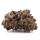 Cherry Pie THCa Flower with dense trichomes, dark green and purple hues, orange pistils