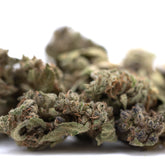 Cream Caramel THCa Flower Smalls: Purple-Green Bud with Trichomes