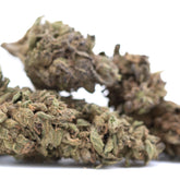 Dirty Laundry THCa Flower Full-Term Wholesale