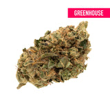 Duct Tape THCa Hemp Flower Greenhouse - Plants