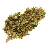 Dried CBD Hemp Flower with green leaves and orange hairs from Early Nueve’s Cheesy Kush