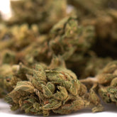 Early Wu CBD Hemp Flower Full-Term Smalls Wholesale