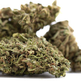 Glue CBD Hemp Flower Full-Term Wholesale