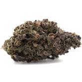 GMO THCa Flower Full-Term