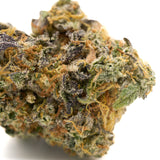 Close-up of GMO Indoor THCa Flower with trichomes, orange pistils, green and purple hues
