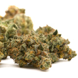 GMO Indoor THCa Flower with trichome-rich buds and vibrant orange hairs