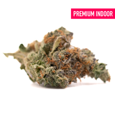 Gassa Purple Indoor THCA Flower with dense cannabis bud, orange hairs, and frosty trichomes