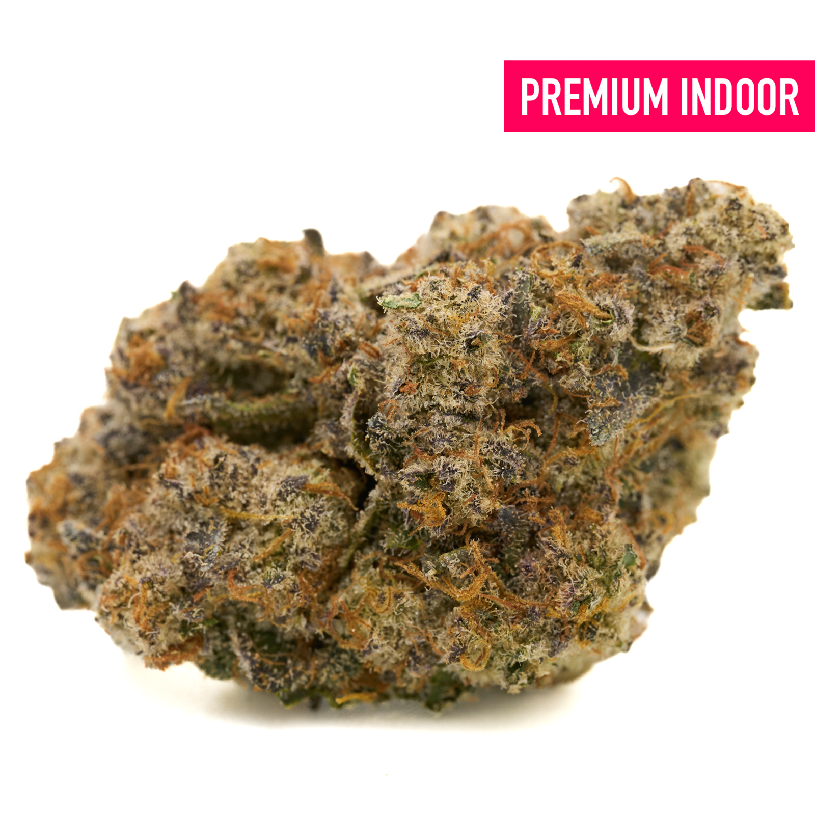 Georgia Pie indoor THCa flower with dense trichomes, orange hairs, and purple hues