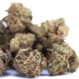 Government Oasis THCa Hemp Flower Greenhouse Smalls