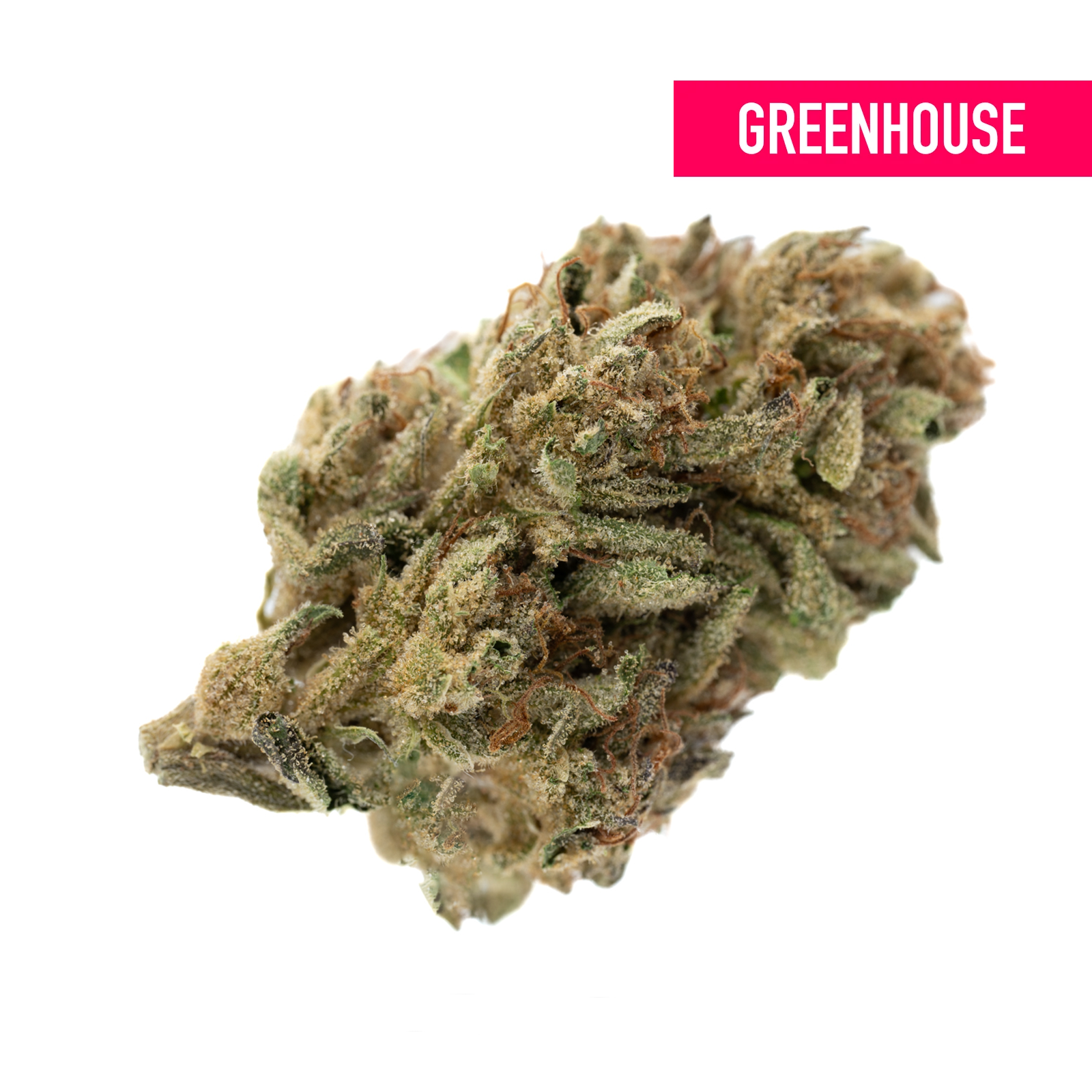 Guava Tartz Greenhouse THCa Flower - Plants