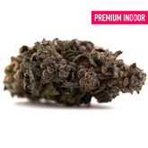 Guava Z Indoor premium cannabis bud with purple green hues trichomes and orange pistils