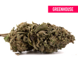 Halle Berry THCa Hemp Flower Greenhouse