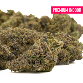 Premium indoor cannabis buds of Hash Plant Han Solo Hash THCa Flower Wholesale