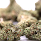 Joker OG THCa Greenhouse Smalls