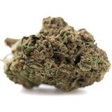 Lemon Cherry Gelato THCa Hemp Flower Greenhouse