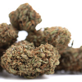 Lemon Octane CBD Full-Term Hemp Flower Wholesale