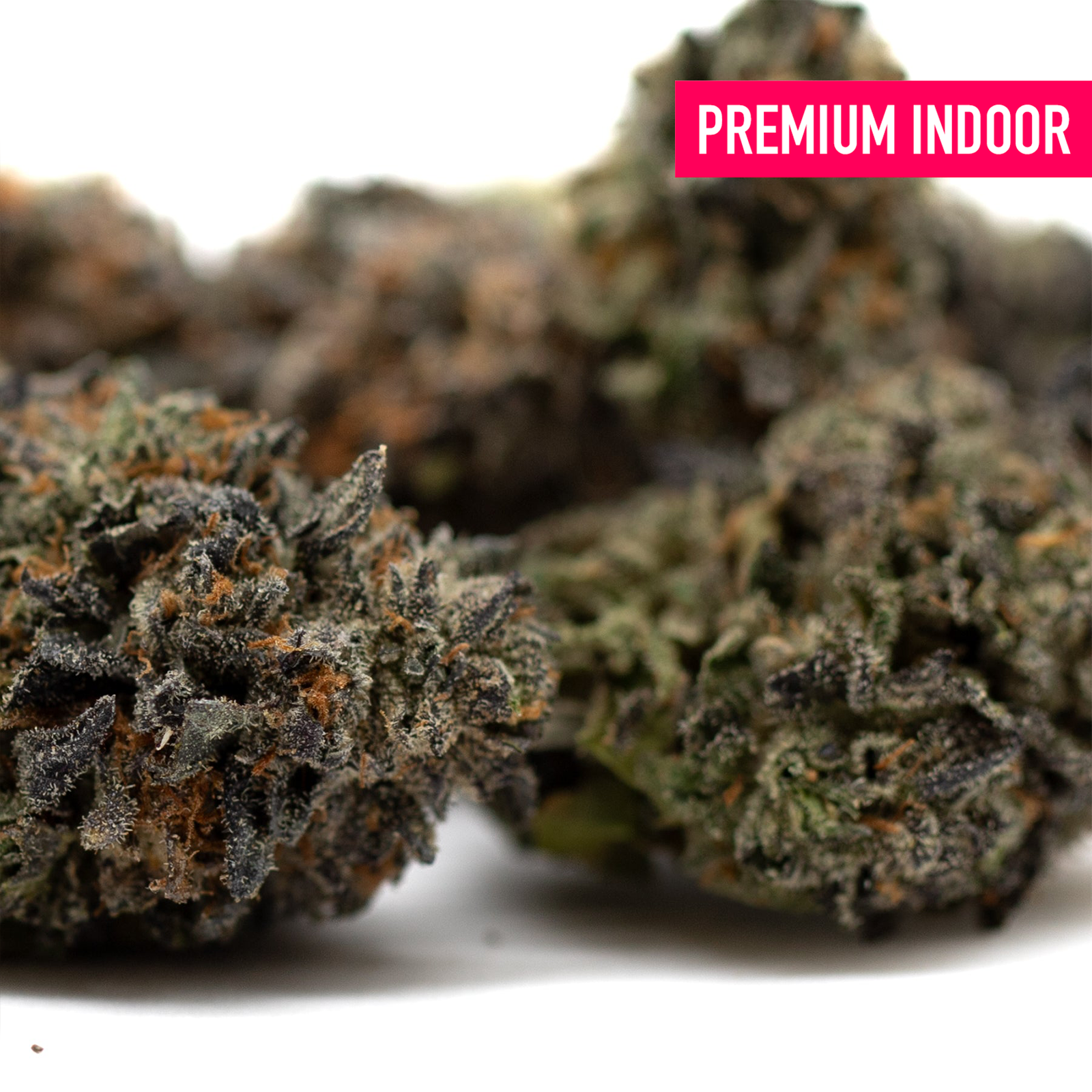 Premium Lemon OG Indoor THCa Flower Wholesale showcasing high-quality hemp flower and THCa content