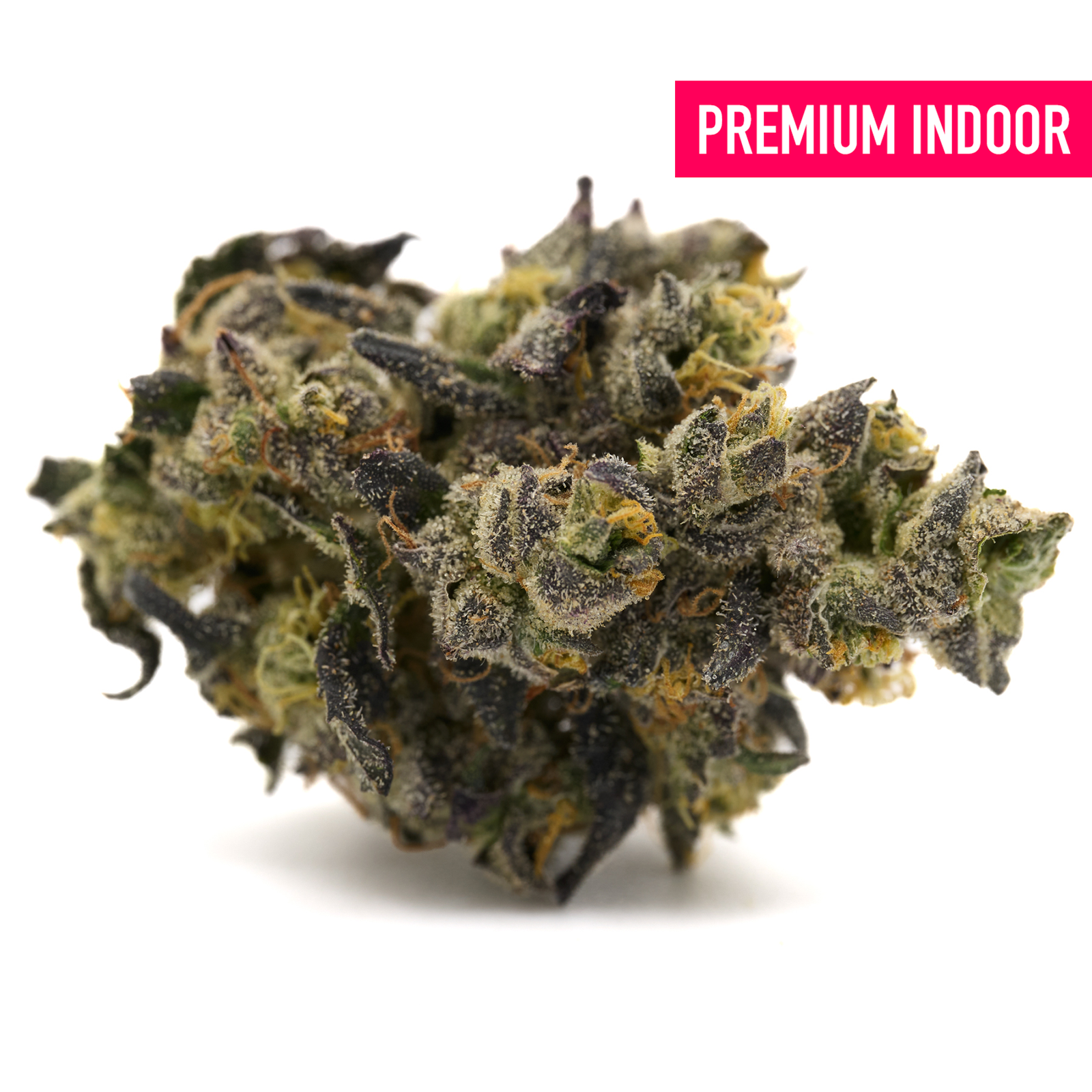 Dense frosty cannabis bud with purple and green hues labeled PREMIUM INDOOR, Lung Buster Indoor THCa Flower