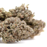 Mega Gummie Bearz THCa Flower Full-Term