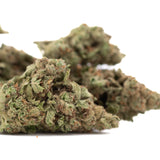 Moroccan Peach THCa Hemp Flower Greenhouse Wholesale