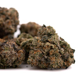 Dried Oregon Lemons THCA indoor flower with orange hairs and frosty trichomes