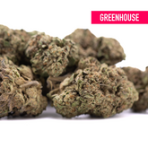 Lemon Cherry Gelato THCa Hemp Flower Greenhouse Wholesale