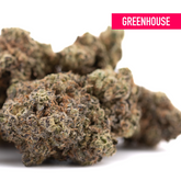 Black Amber Indoor THCa Flower Wholesale