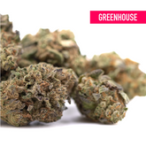 Poison Gushers THCa Hemp Flower Greenhouse Wholesale