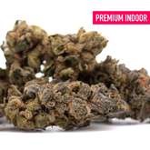 Space Candy Indoor THCa Flower Wholesale