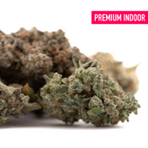 Dried cannabis flower buds with purple coloration from Street Tarts Indoor THCa Flower Wholesale