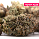 Premium indoor THCA flower with classic genetics from Gas Indoor THCA Flower Wholesale