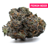 Dense Poppin Bottlez Indoor THCa Flower Rozay Cake with purple green hues and trichomes