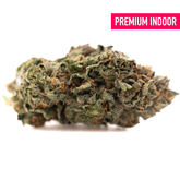 Premium indoor THCA flower with dense trichomes and orange hairs showcasing complex terpene profile