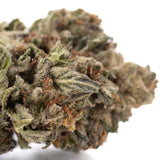 Pure Michigan THCa Hemp Flower Greenhouse