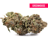 Pure Michigan THCa Hemp Flower Greenhouse