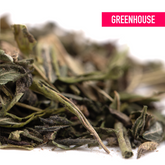 Purple Wedding Greenhouse THCa Trim Wholesale