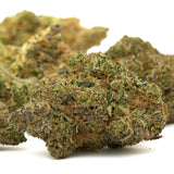 Close-up of Pyromaniac Indoor THCa Flower with dense buds, vibrant green, orange, and purple hues