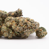 Rozay Cake Indoor THCa Flower Wholesale