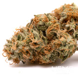 Close-up of Rose Gold Runtz indoor THCa flower with orange pistils and frosty trichomes