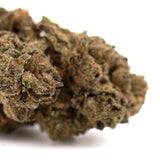 Rozay Cake THCa Flower Full-Term hemp flower with dense trichome-covered green and brown bud