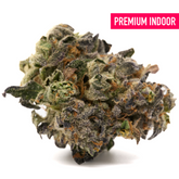 Russian Runtz indoor THCA flower with dense trichomes and vibrant orange hairs for indica sedation