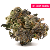 Russian Runtz indoor THCA flower with dense trichomes and vibrant orange hairs for indica sedation