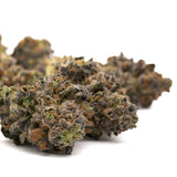 Dried Russian Runtz THCA Flower with purple, green, and orange hues for indica sedation
